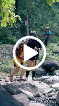 BIB:  <button type="button" onclick="openModal(28100372)" class="btn btn-primary btn-sm float-right" data-toggle="modal" data-target=".modal-high-quality">
                <i class="fa fa-download"></i> Download
                </button>